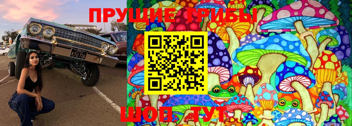 Псилоцибиновые грибы мухоморы Гай
